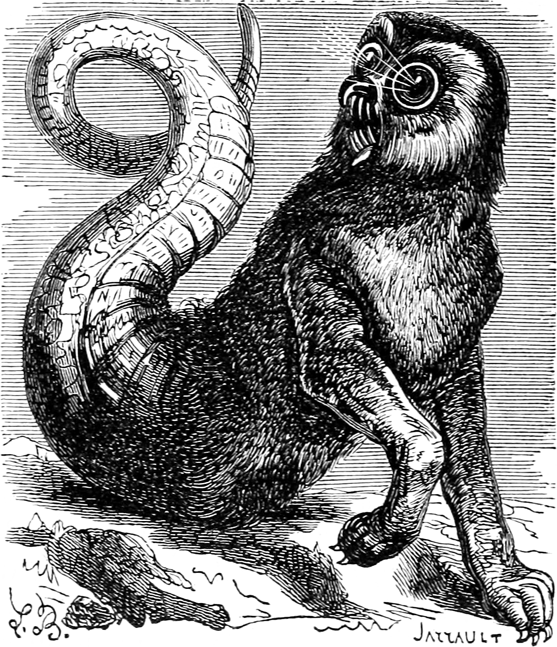 Amon as engraved by Louis Le Breton