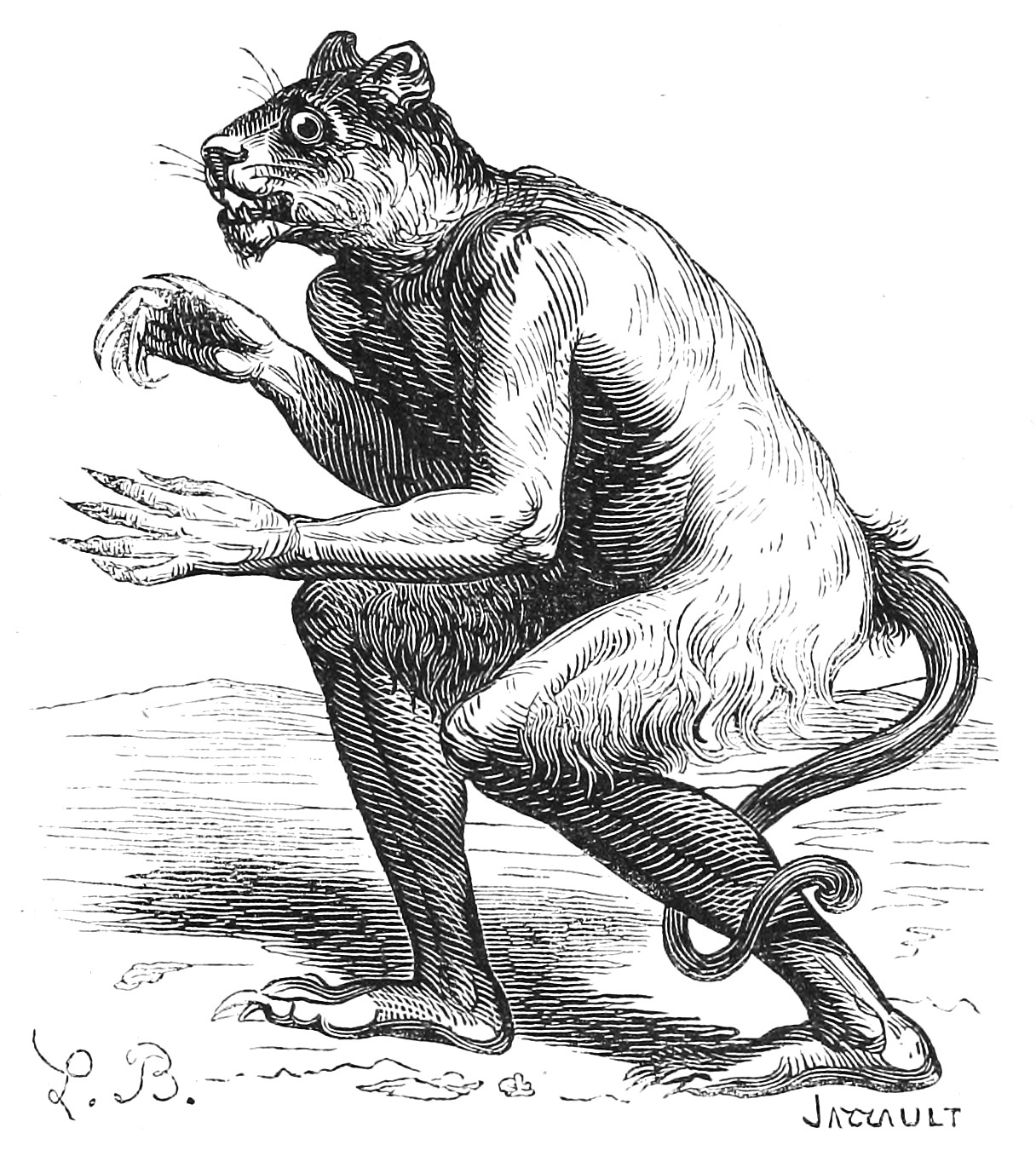 Haures as engraved by Louis Le Breton