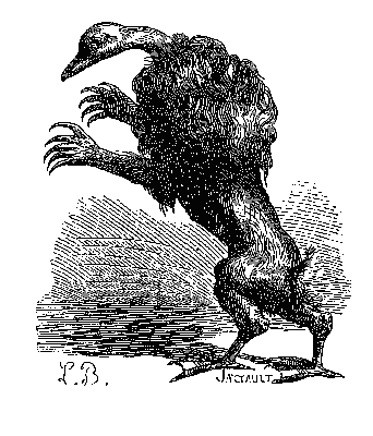 Ipos as engraved by Louis Le Breton