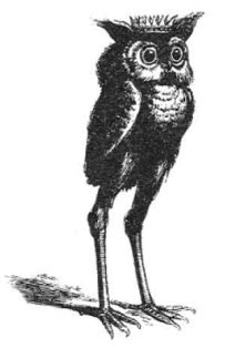 Stolas as engraved by Louis Le Breton